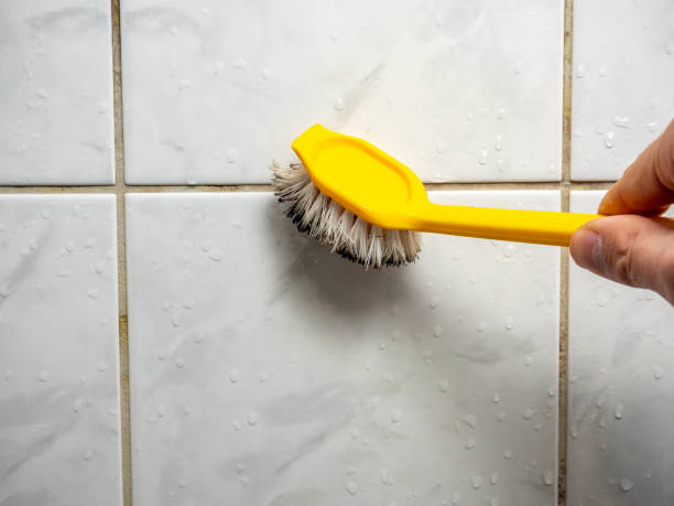 Best Mold Removal Near Me  in Arrowhead Beach, NC