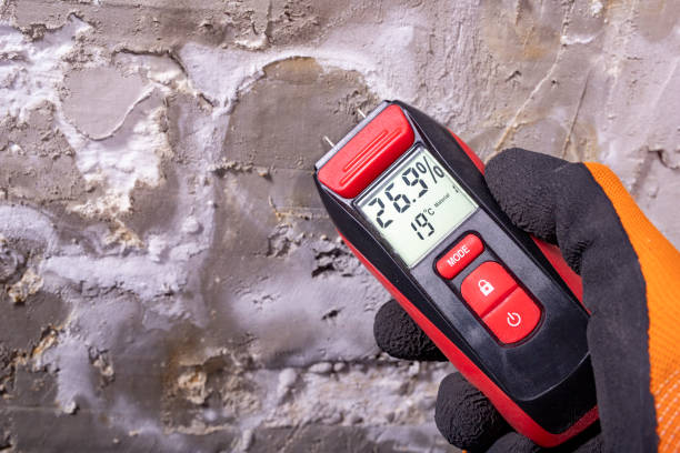 Best Mold Cleaning Services  in Arrowhead Beach, NC