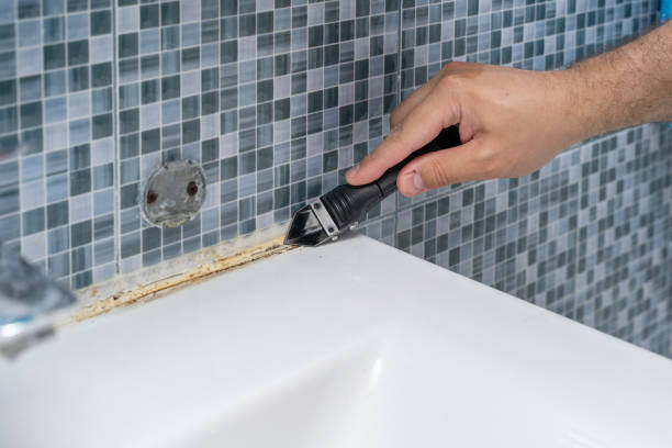 Best Mold Removal Company Near Me  in Arrowhead Beach, NC
